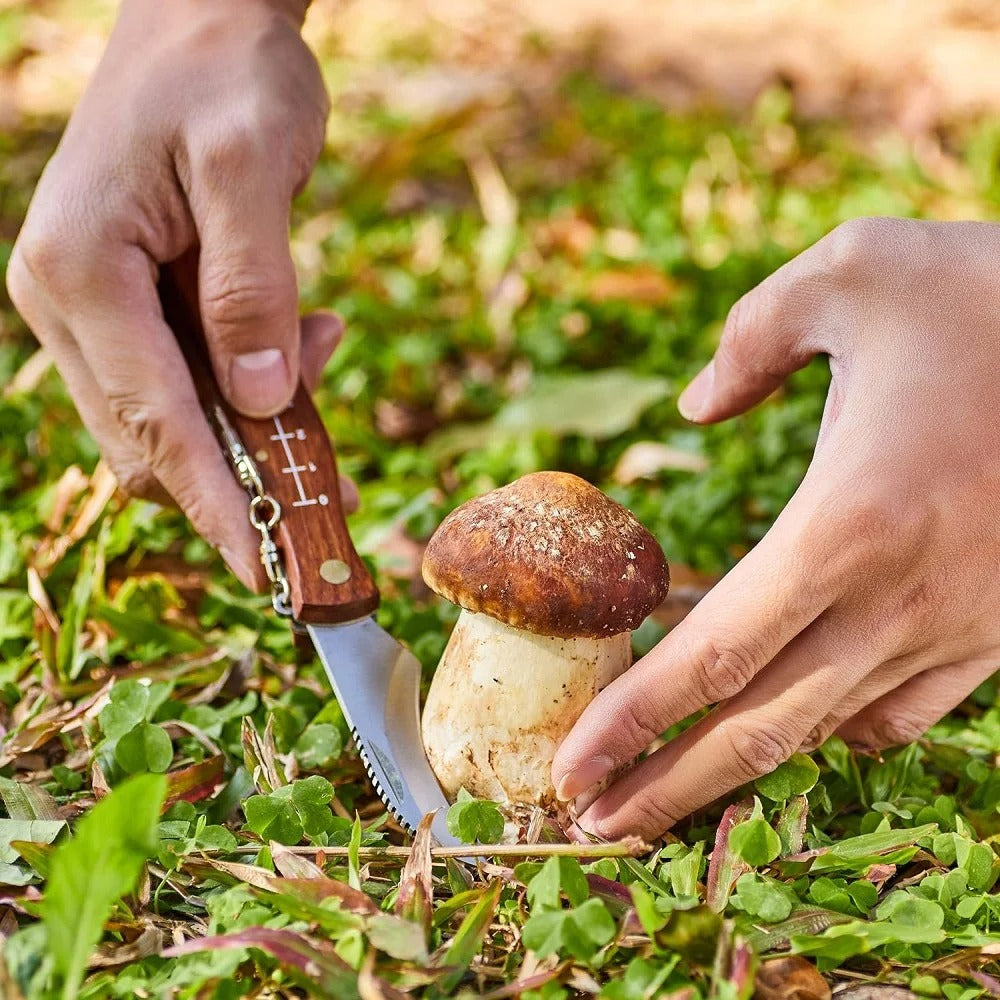 Stainless Steel Mushroom Knife